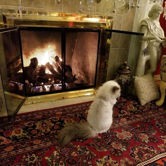 Meet your Posher, Paris - Picture 1 of 7